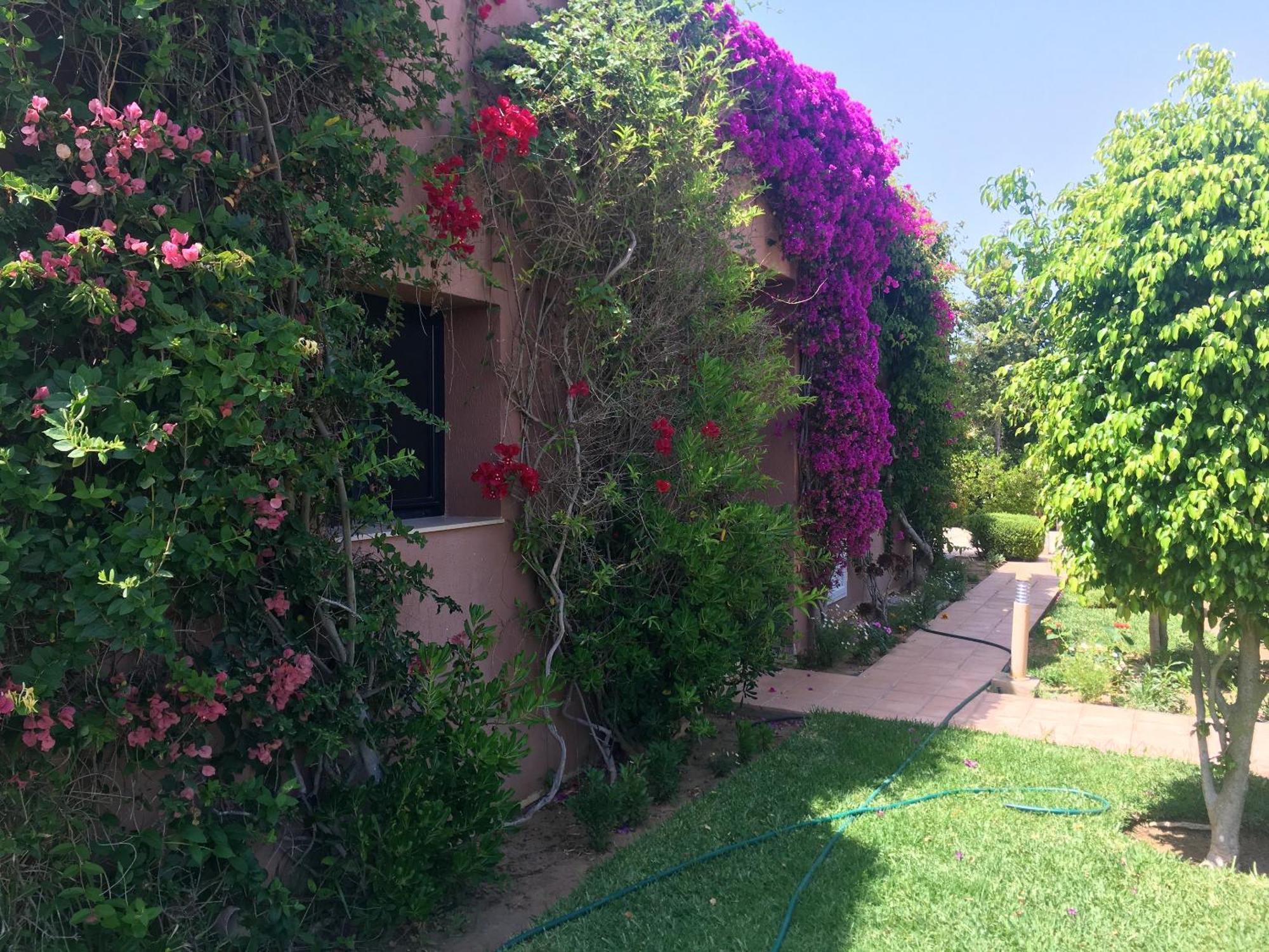 Luxury Villa In La Marsa With Pool Buitenkant foto